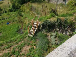 IMG 20200727 115606small