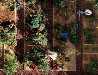 jardinspartagessmall